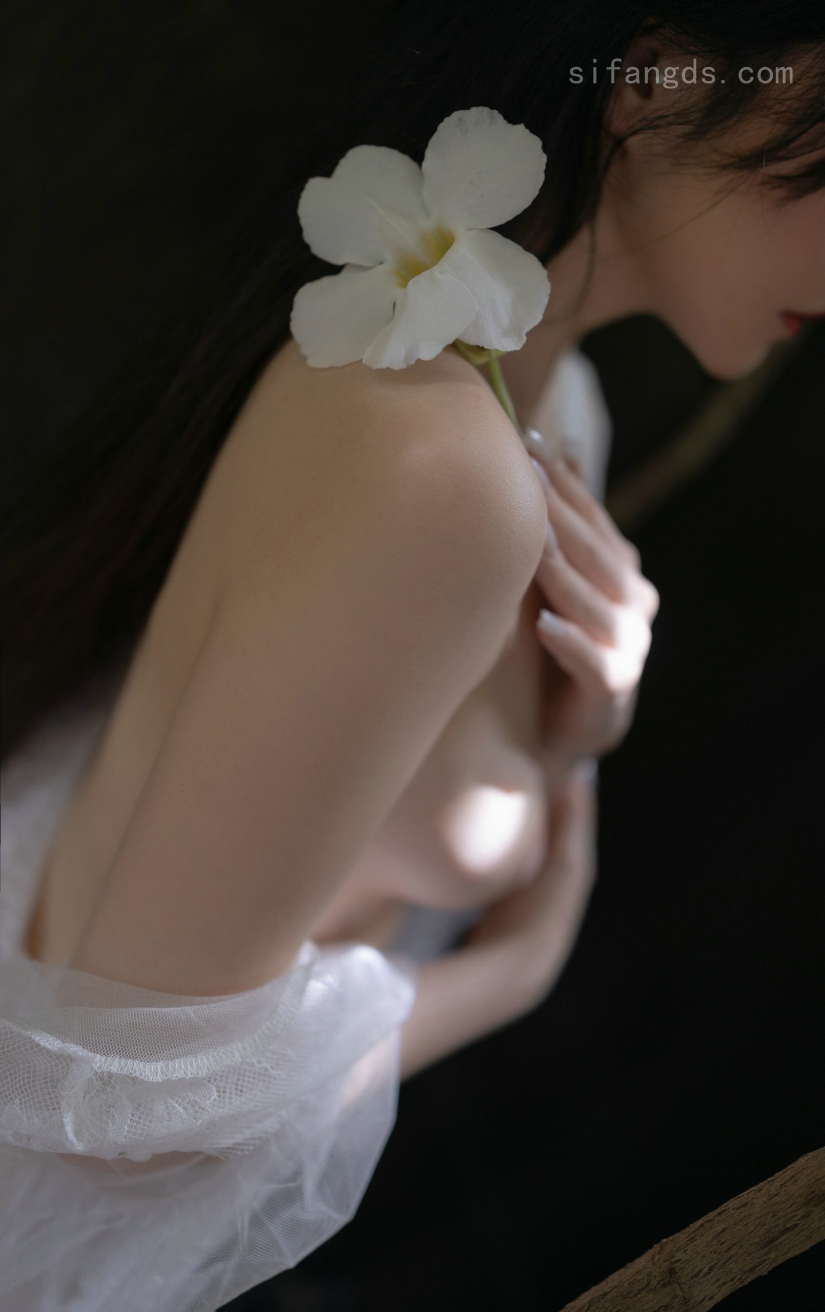 各种萌少女h卖肉动漫图片