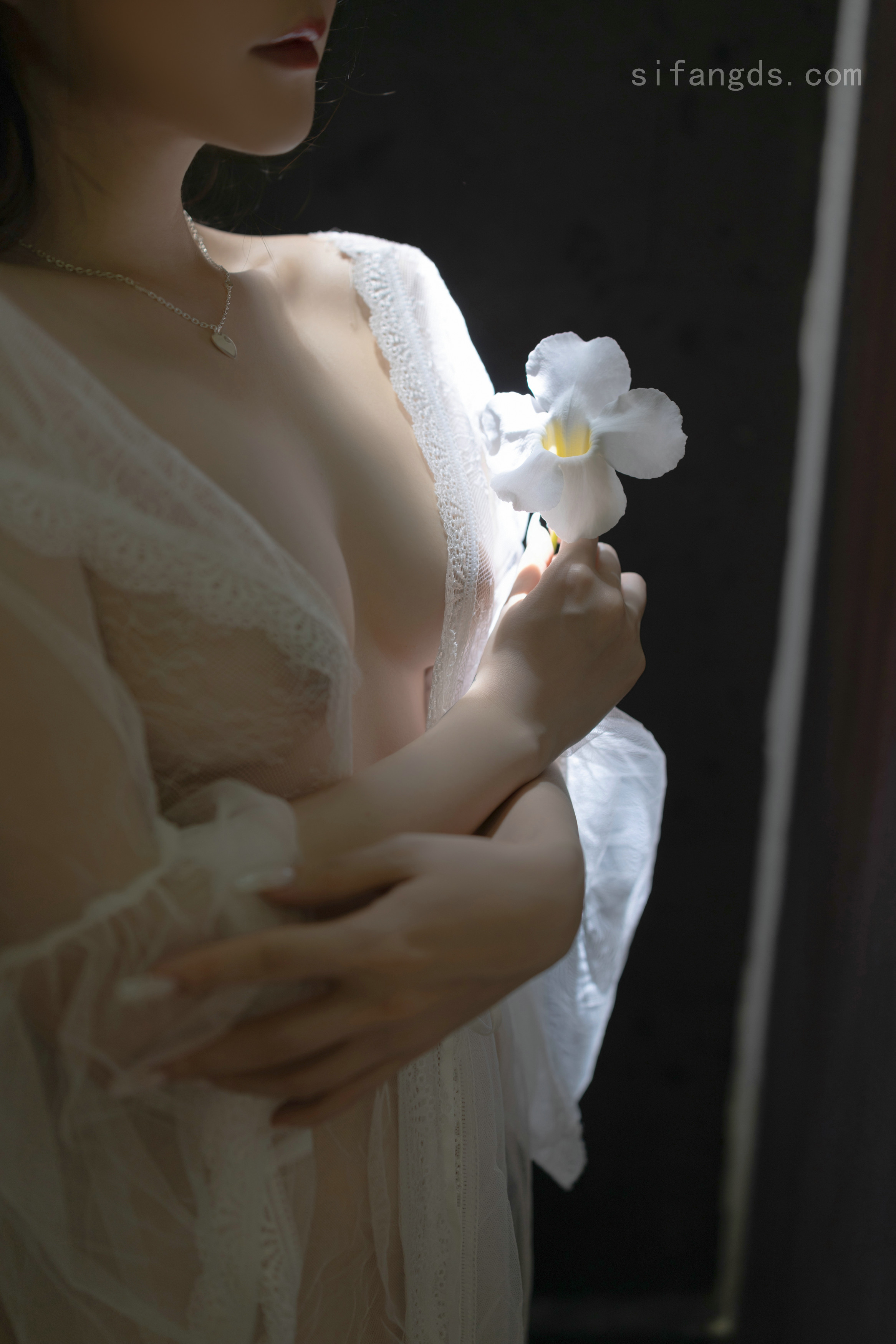 水墨风格罂粟花纹身让人念念不忘 - 挤不出来台湾外流影片飞机群