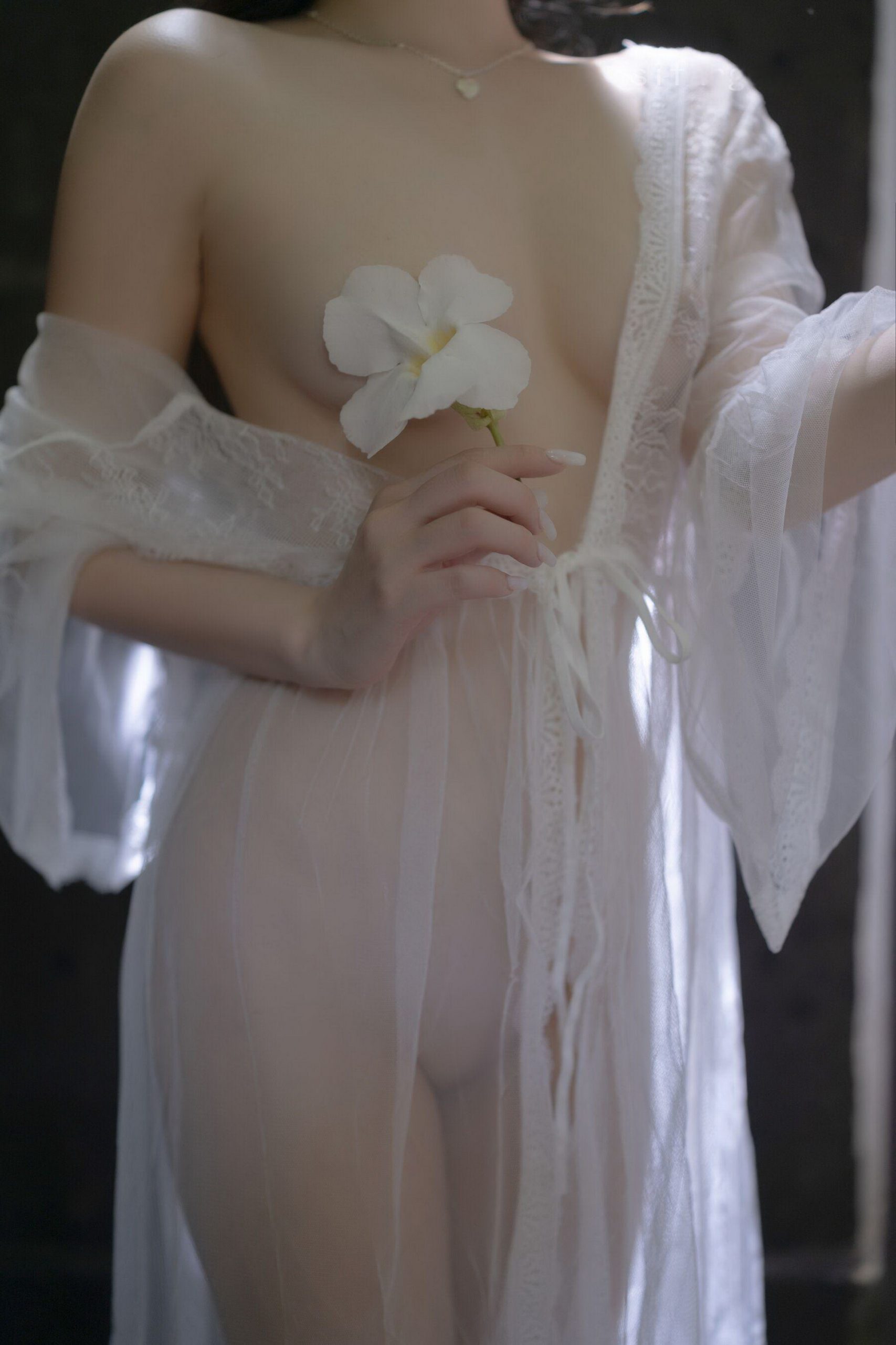 可爱菜菜卡通图片