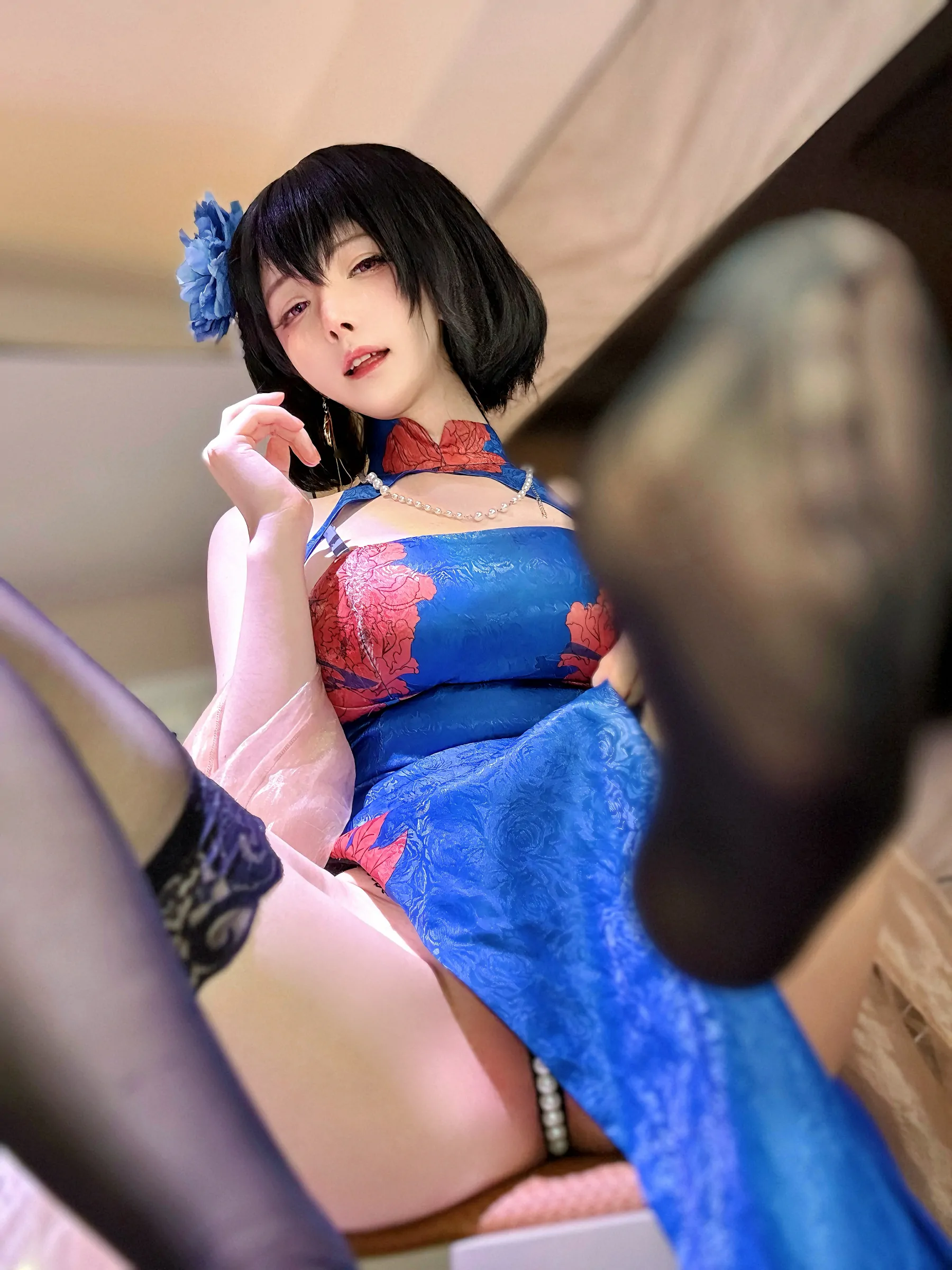 斗牛犬可爱图片 可爱的斗牛犬图片