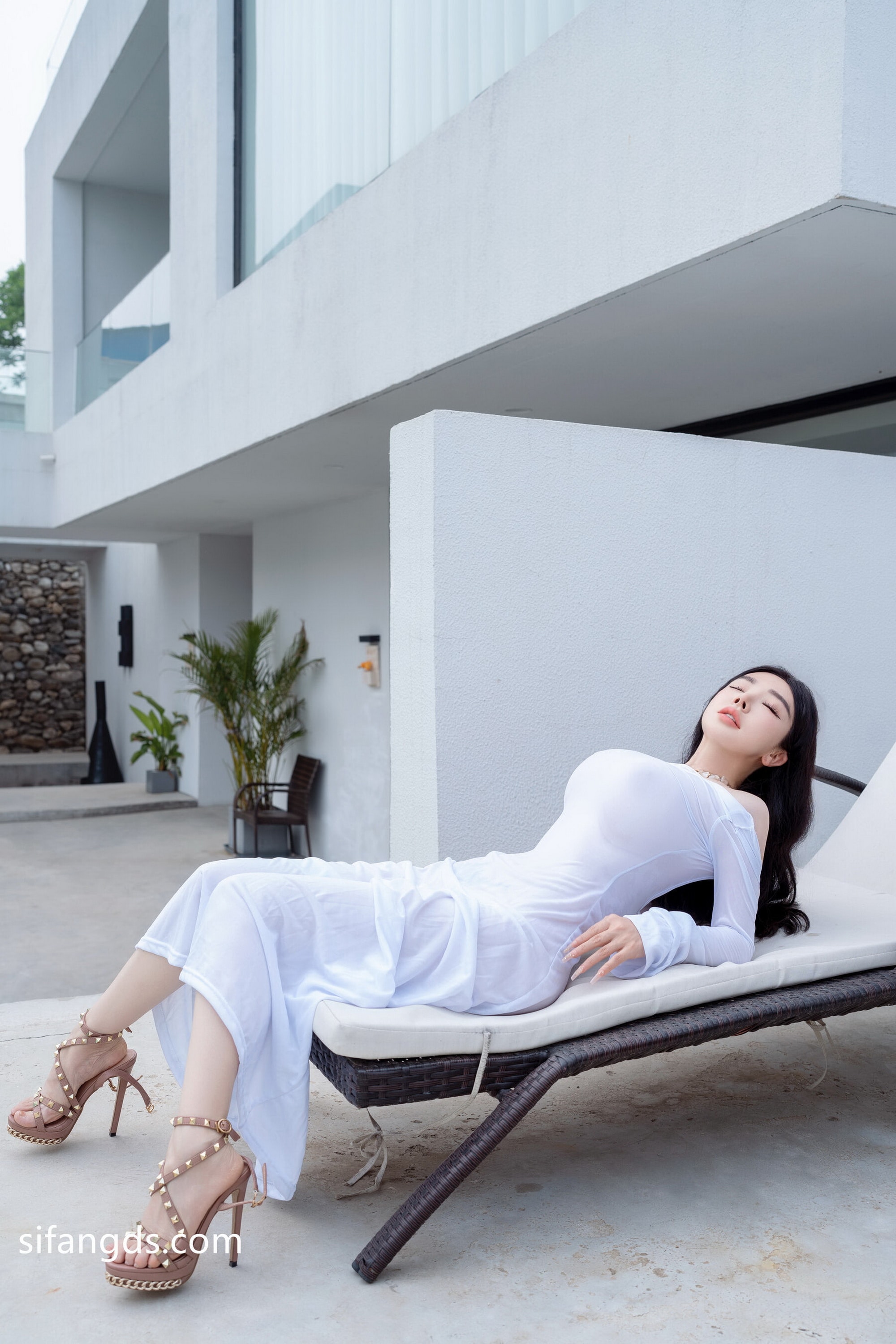 唯美好看的和平鸽图片大全